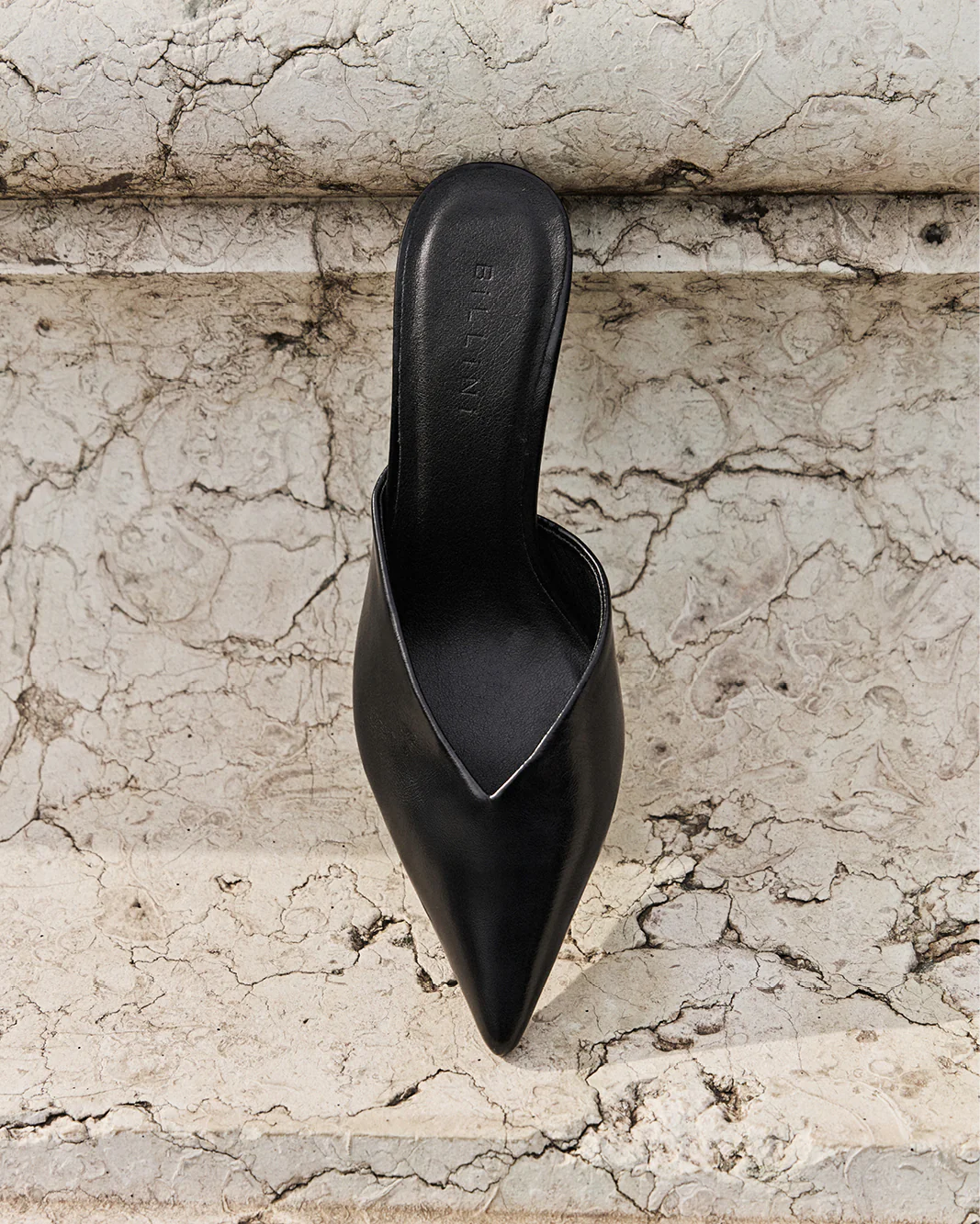 KAREY - BLACK SHINE - Image 7